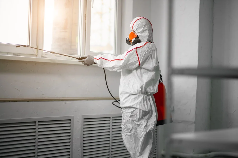 Professional mold remediation services in Johns Island, SC